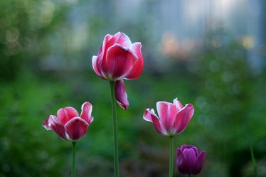 Similar image 8388205