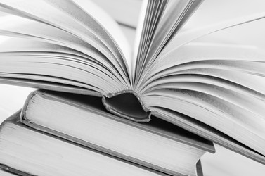 Similar image 8388319