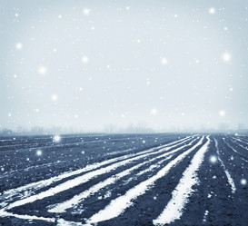 Similar image 8388332