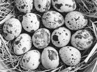 Similar image 8388413