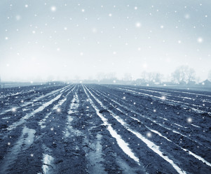 Similar image 8388482