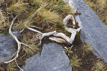 Similar image 8388517