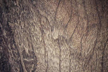 Similar image 8388549