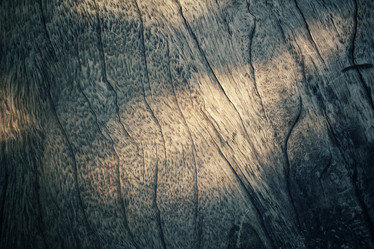 Similar image 8388551