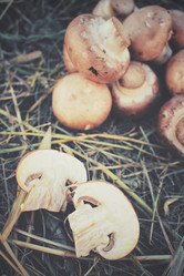 Similar image 8388558