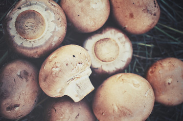 Similar image 8388560