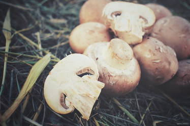 Similar image 8388561