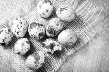 Similar image 8388671