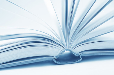 Similar image 8388673