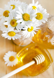 Similar image 8388712