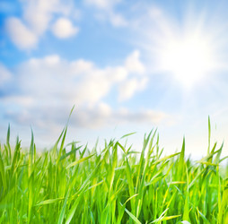 Similar image 8388862