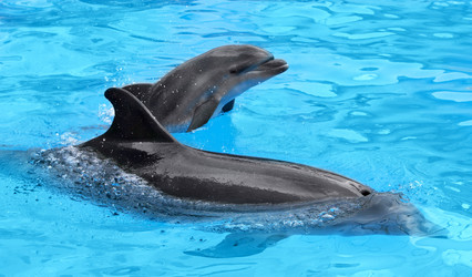 Similar image 8388907