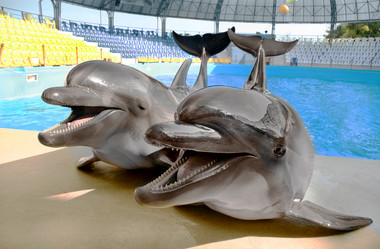 Similar image 8388915