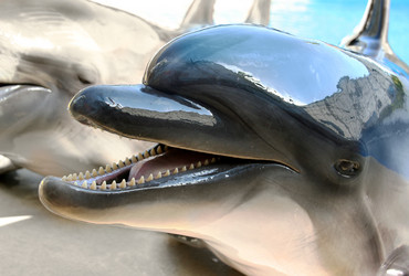 Similar image 8388916