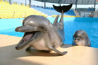 Similar image 8388917