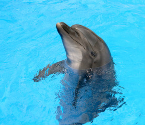 Similar image 8388918