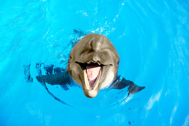 Similar image 8388922