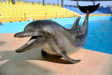 Similar image 8388924