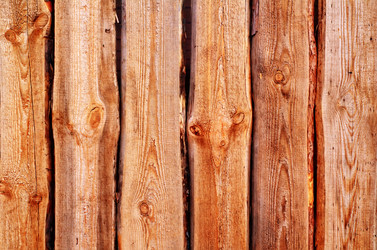 Similar image 8388997