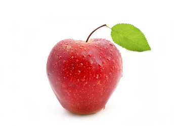 Similar image 8389056