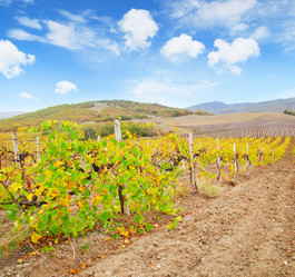 Similar image 8389154