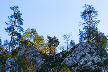 Similar image 8390029