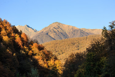 Similar image 8390032