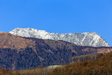 Similar image 8390034