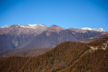 Similar image 8390036