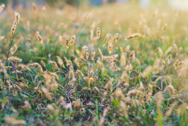 Similar image 8390091