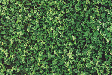 Similar image 8390092