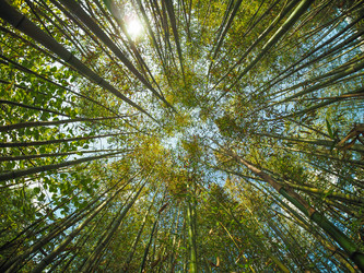 Similar image 8390127