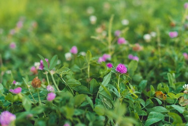 Similar image 8390128