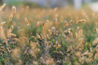 Similar image 8390129