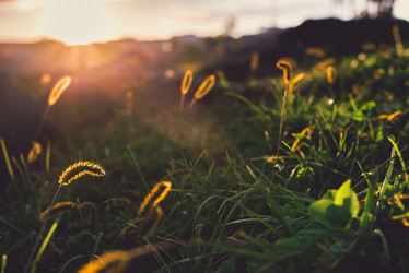 Similar image 8390130