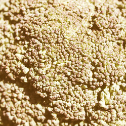 Similar image 8390179