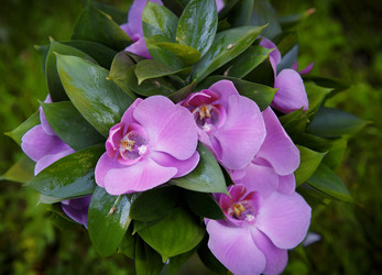 Similar image 8390588