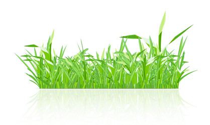 Similar image 8390682