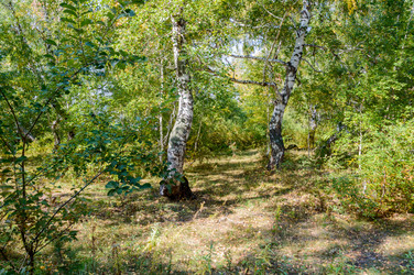 Similar image 8390780