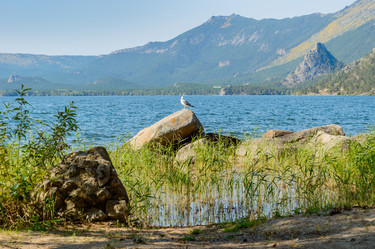 Similar image 8390781