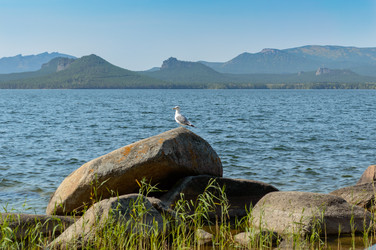 Similar image 8390808