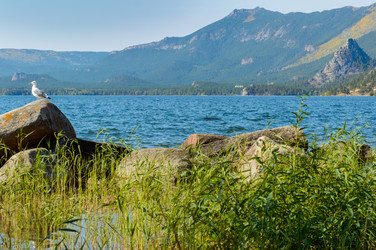 Similar image 8390809