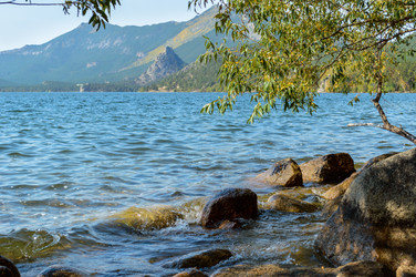 Similar image 8390811