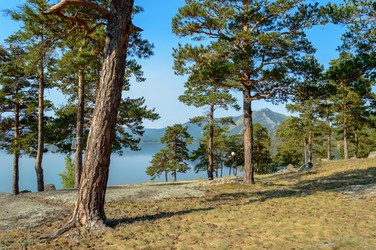 Similar image 8390901