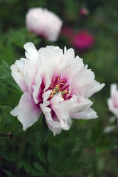 Similar image 8391051