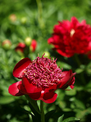 Similar image 8391052