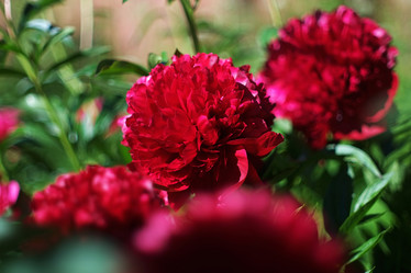 Similar image 8391055