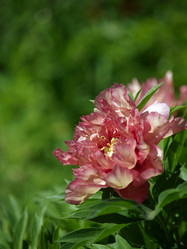 Similar image 8391056