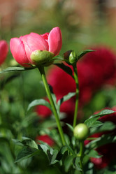 Similar image 8391057