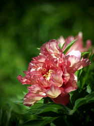 Similar image 8391058